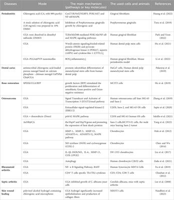 Osteogenic mechanism of chlorogenic acid and its application in clinical practice